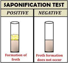 qualitative ysis of lipids