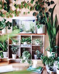 50 Indoor Garden Ideas How To Make