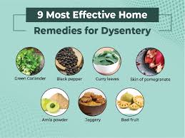 home remes for dysentery