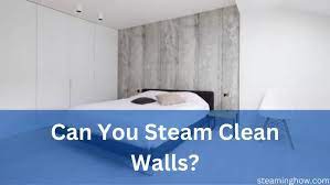 Can You Steam Clean Walls And Ceilings