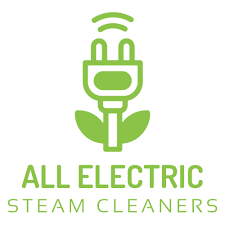 carpet cleaning pittsburgh mr steam