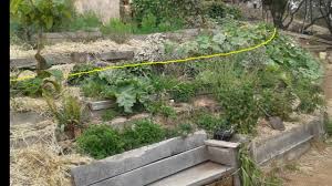 After mowing, it's a good idea to allow the clippings to decay and be absorbed back into the soil. Landscaping Ideas For Sloped Backyard Garden Design On Slopes Youtube