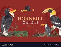 billboard template with hornbill bird