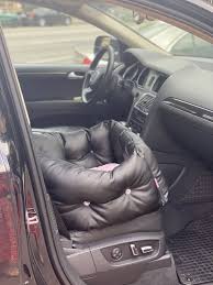 Buy Black And Pink Luxury Dog Car Seat