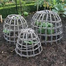 willow cloches set of 3 harrod