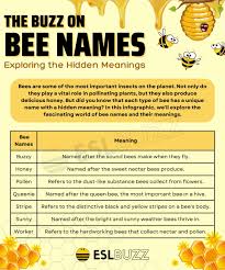 bee names list of the best bee names