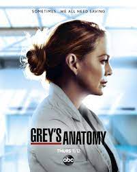 Grey's Anatomy Season 17 Poster - TV Fanatic