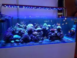 China Programmable 48inch 240w Led Aquarium Lighting For Coral Reef Growth China Led Aquarium Light Led Aquarium Lighting
