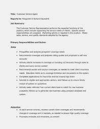 9 10 Customer Service Responsibility For Resume