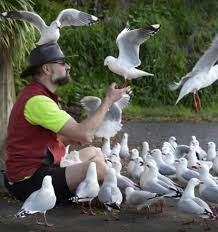 Seagull Man Now An Internet Sensation