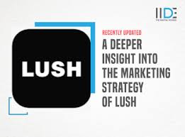 in depth marketing strategy of lush a