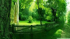 Nature wallpapers high resolution green ...