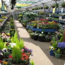 top 10 best nurseries gardening in