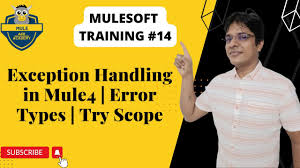 14 exception handling in mule4 error