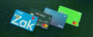 Wave makes getting paid fast, frictionless, and fun. Best Credit Card In Switzerland For 2020 Mustachian Post