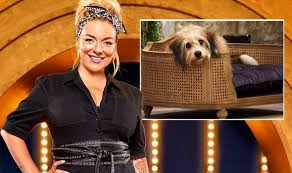 The latest tweets from pooch perfect (@poochperfectabc). Bbc Backlash Pooch Perfect Slammed By Rspca For Sending Out A Worrying Message Tv Radio Showbiz Tv Express Co Uk