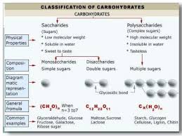 Classification Of Carbohydrates