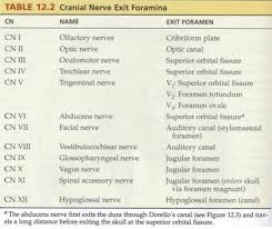 Cranial Nerve Examination Osteopathicthoughts