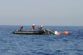 Large Whale Entanglements National Report Released | NOAA ...