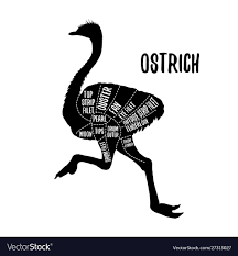Ostrich Meat Cutting Charts