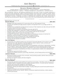 Real Estate Manager Resume Objective 3 L Property Sample Spacesheep Co
