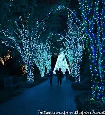 A collaboration with the lighting science group and cd + m lighting and design group, their exhibition garden lights, holiday nights. Pin On Christmas
