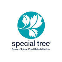 brain spinal cord rehabilitation