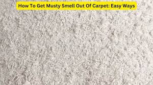 how to get musty smell out of carpet