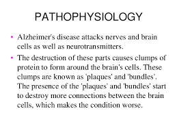 「alzheimer's disease」的圖片搜尋結果