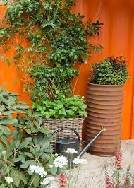 Low Maintenance Plants For Outdoor Pots