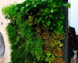 Greenworks Self Watering Living Wall System