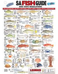 Afn South Australia Fish Id Card Sa