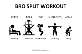 bro split workout routine increase