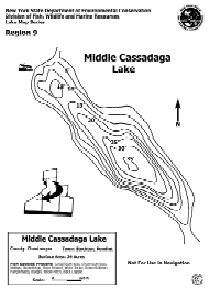 Cassadaga Lake Nys Dept Of Environmental Conservation