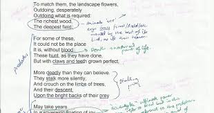 Last Minute Tips to Excel on IB English Literature Paper   thenardvark com