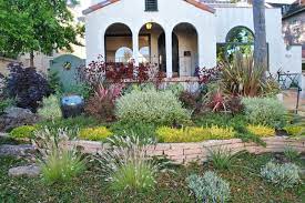 Drought Tolerant Front Yard