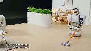 this robot maid can clean your house