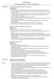 Basic it resume template 32 free word pdf documents Software Consultant Resume Samples Velvet Jobs