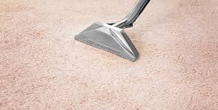 carpet cleaning minneapolis mn best