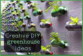 Bottle Greenhouse And Other Creative