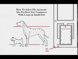 How To Measure Your Dog For A Dog Door
