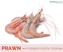 prawn facts and health benefits