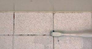 remove black mold in shower grout lines
