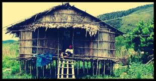 Rumah adat papua yang satu ini berasal dari suku dani. Rumah Adat Papua Nama Ciri Khas Gambar Dan Penjelasan