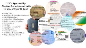 which are the 12 id doents permitted