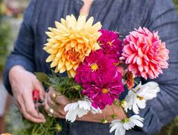 Design Ideas For Summer Cut Flowers In