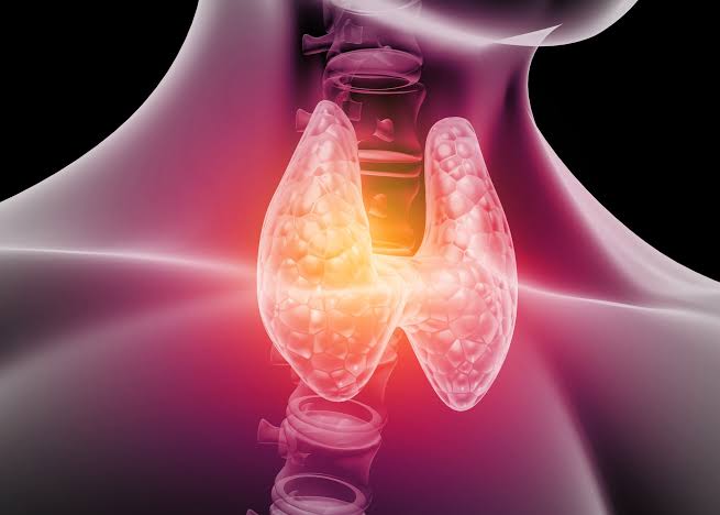 Understanding Thyroid Disease and Its Impact on Health