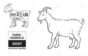 Vector Illustration Goat Cuts Diagram Or Chart Goat Black Silhouette