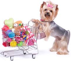 Where are pet stores near me? many shops take care of your animals such as petsmart or petco. Pet Shops Near Me Home Facebook