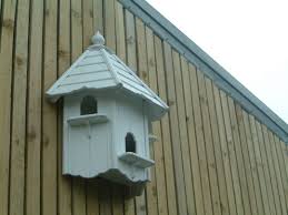 Wall Mounted Dove Cote Grows On You